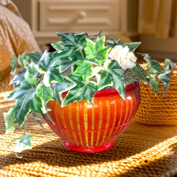 GET IT BEFORE GOODWILL DOES!! English Ivy wicker basket Floral Arrangement - Picture 1 of 4